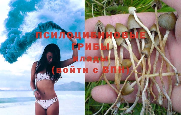 гашиш Абинск